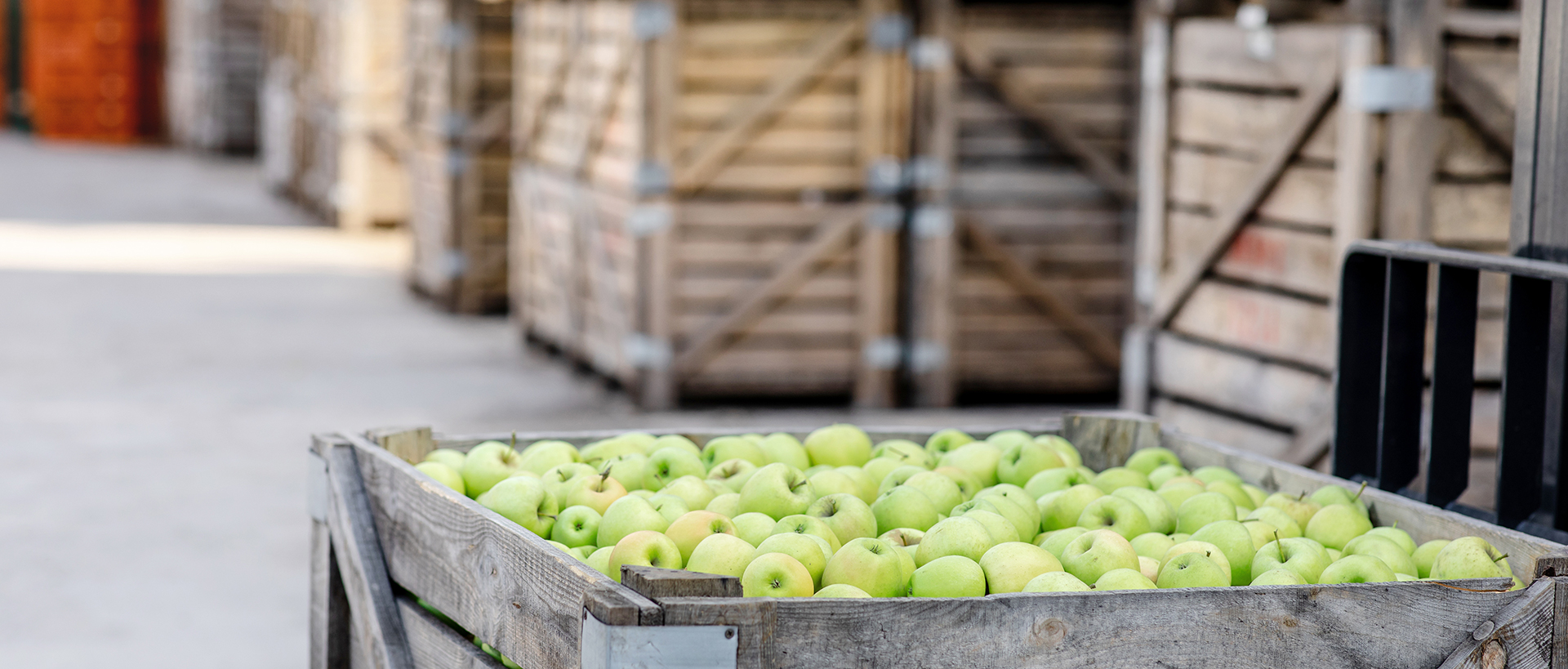 Entrepôt de pommes rénové