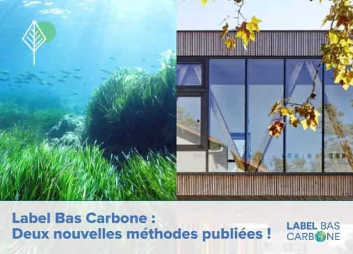 Image coupée en deux fond marin et serre