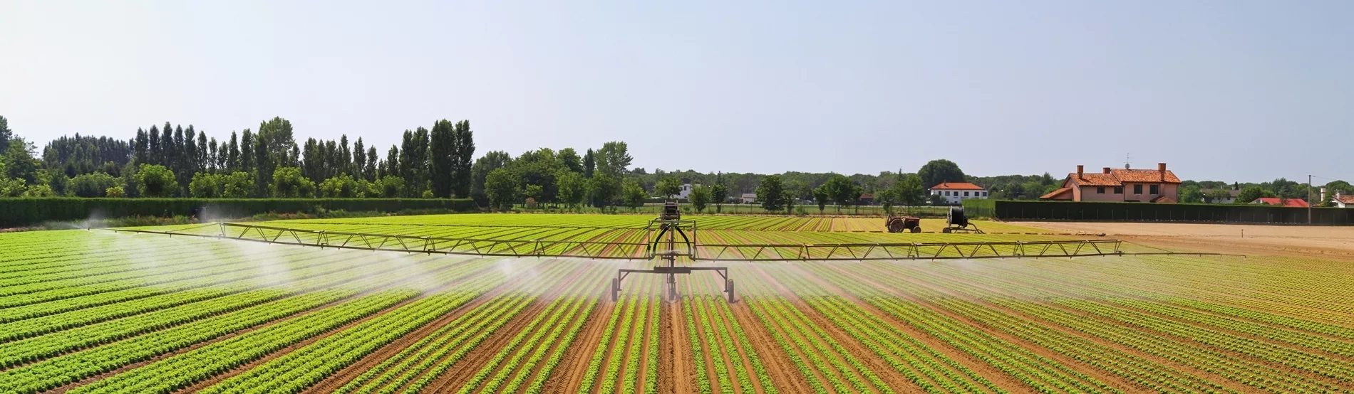 Irrigation plein champ par aspersion