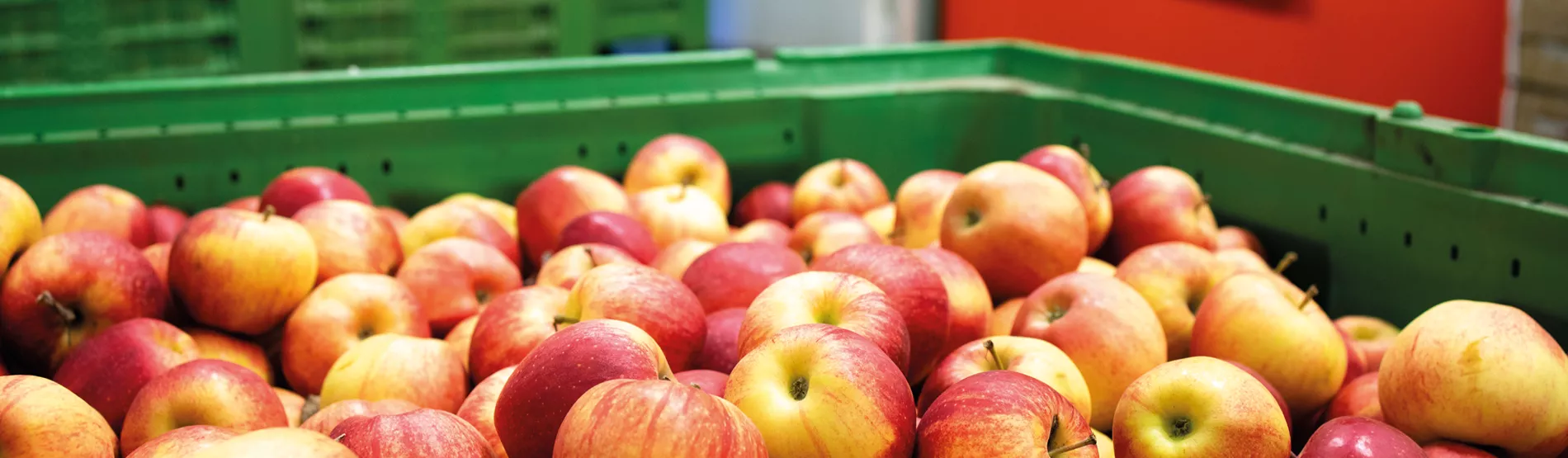 Conseil en financement dans l’industrie agroalimentaire