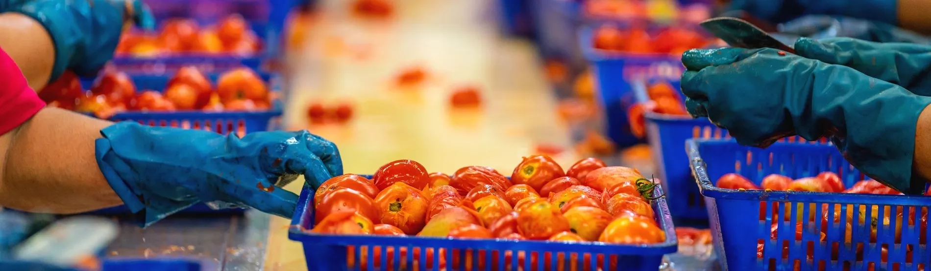 “Projets territoriaux”, un appel à projets pour le développement et la structuration des filières agricoles, aquacoles, agroalimentaires
